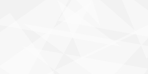 Abstract tringle white and grey  luxury shape grey strips line soft pattern elegent concept for banner, poster, brochure, cut paper vector illustration. 