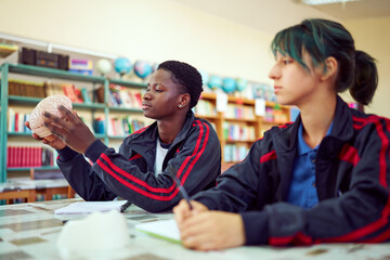 Two high school students studying human brain anatomy in library