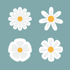 White chamomile icon. Daisy Camomile set. Cute round flower head plant collection. Double petal. Love card symbol. Growing concept. Simple flat design. Childish style. Blue background. Vector