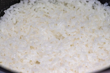 炊きたての白いご飯