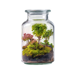Creating a miniature terrarium with plants in a glass jar a diy guide to indoor gardening
