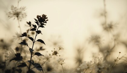 Obraz premium Serene flowering plants in a softly lit natural landscape capturing the essence of tranquility and beauty outdoor photography minimalist perspective