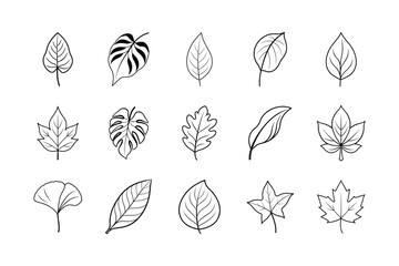 Set of various leaf vector line art