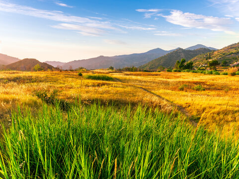 rustic beautiful lendscape of sunset field with green reeds and golden grass and amazing mountain valley with bright cloudy evening sky on background