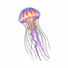 Fototapeta premium The magical floating of the dreamy jellyfish