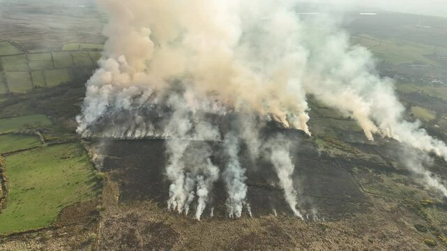 Wild fires started deliberately across northern ireland
