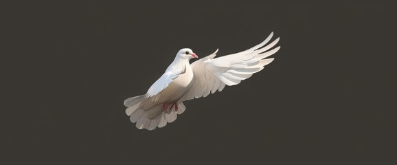 White_Dove_in_Flight_