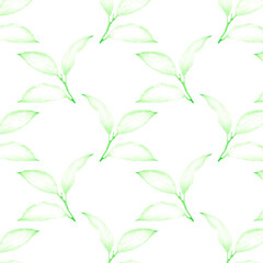 Leaves pattern on a white background. Hand-drawn illustration. Perfect for spring and summer.