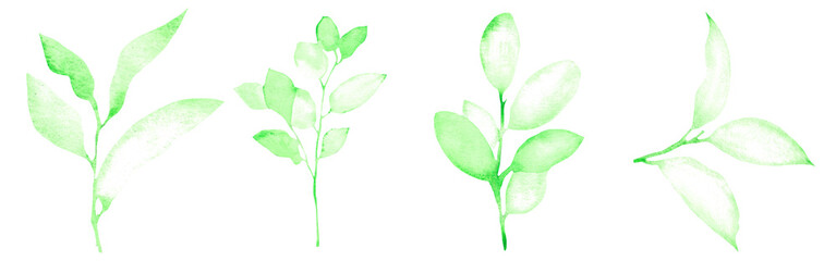 Leaves set on a white background. Hand-drawn illustration. Perfect for spring and summer.	