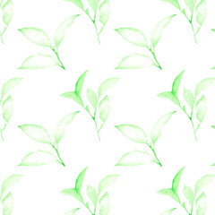 Leaves pattern on a white background. Hand-drawn illustration. Perfect for spring and summer.