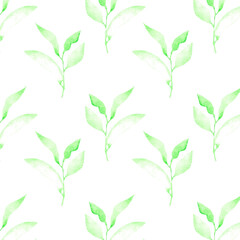 Leaves pattern on a white background. Hand-drawn illustration. Perfect for spring and summer.