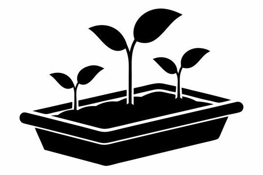 black seedlings growing in a rectangular planter clip art preview