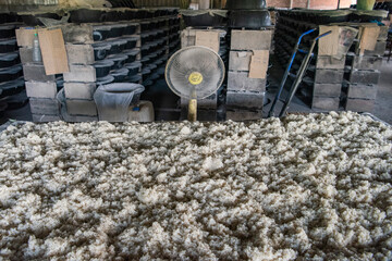 THAILAND PHRAE SA IAP VILLAGE RICE SPIRITS FACTORY