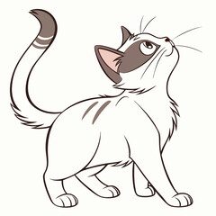 vector illustration of a cat