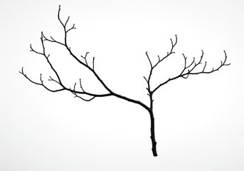 A stark silhouette of a bare tree branch against a bright white background in a minimalist style