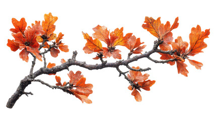 [Artistic digital branch with vibrant orange leaves against black background] Vibrant Orange Branch: Artistic Digital Illustration for Fall Themed Designs