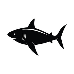 vector illustration of a shark