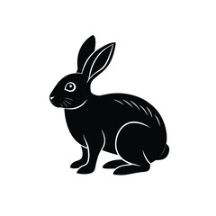 vector illustration of a bunny