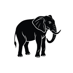 elephant vector illustration