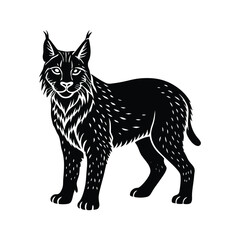 black cat vector illustration