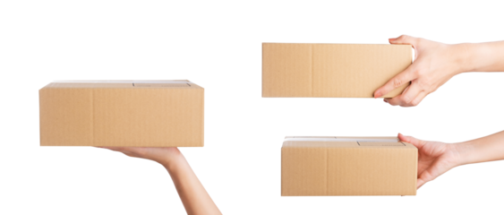 Hand holding parcel Box isolated on white background