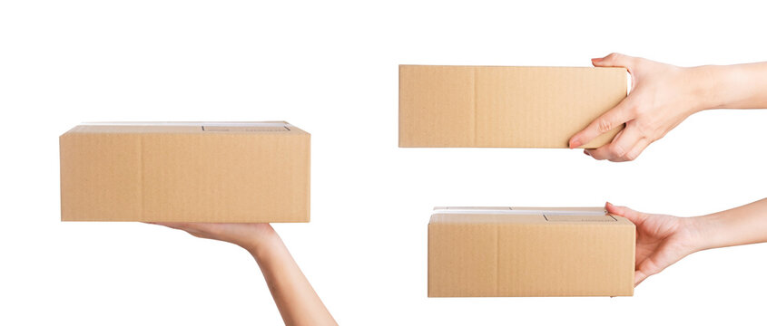 Hand holding parcel Box isolated on white background