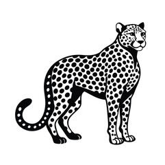 vector illustration of a leopard
