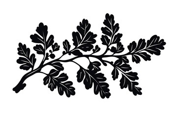 Black Oak Leaves Branch Silhouette, Botanical Illustration, Nature Element, Isolated 85