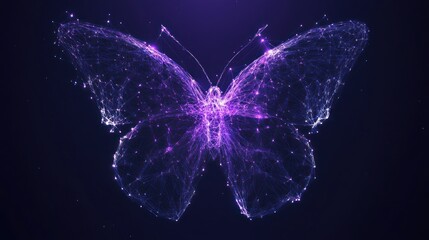 Abstract Polygonal Butterfly in Dark Space