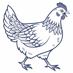 vector hen on white background