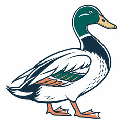 This is a cute duck vector