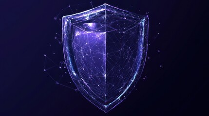 Digital Shield of Protection