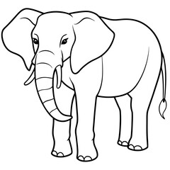 Fototapeta premium Line art illustration of an African elephant standing