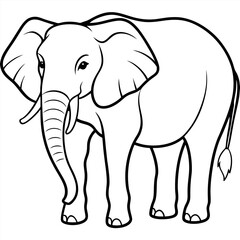 Fototapeta premium African Elephant Line Art Illustration for Coloring Book
