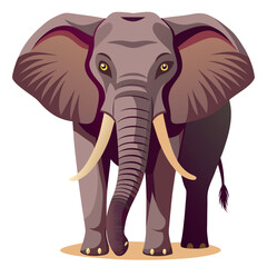 African Elephant Illustration Front View Wildlife Animal