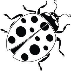 ladybug vector illustration