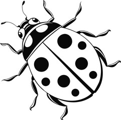 ladybird vector illustration
