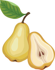 Fresh pear and pear half, vector illustration in flat style. Isolated on white background