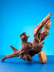 Close-up of elegant wooden driftwood suitable for aquarium or terrarium use on  purple backdrop