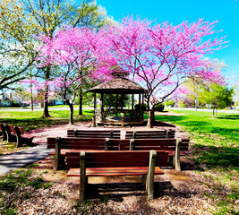 Benches and Gazebo in park