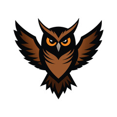 owl on white background