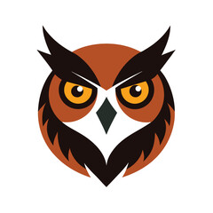 owl on a white background