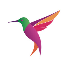 Obraz premium hummingbird and flower