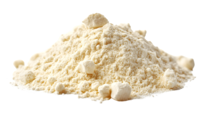 High-Quality Whey Protein Powder Isolated on White Background for Fitness and Nutrition Concepts