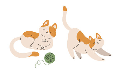 Funny Cat Domestic Pet with Pretty Snout Engaged in Different Activity Vector Set