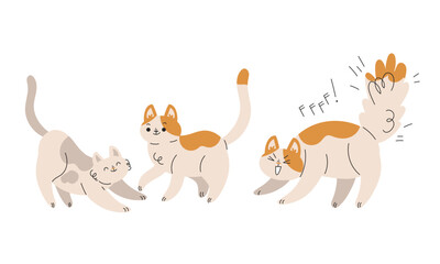 Funny Cat Domestic Pet with Pretty Snout Engaged in Different Activity Vector Set