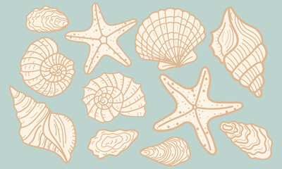 Set of hand drawn seashells. Summer vacation design elements for trendy prints, label, menu cover. Tropical beach shells. Vector flat illustration.