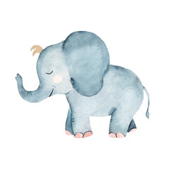 Cute baby Elephant with trunk. Watercolor Hand drawn Safari illustration of wild animal isolated on a white background. For book, cards and prints.