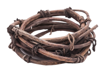 Animal Tracks Replica for Nature and Wildlife Education - Isolated on White Background