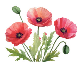 ポピーの花の水彩風イラスト　生成AI